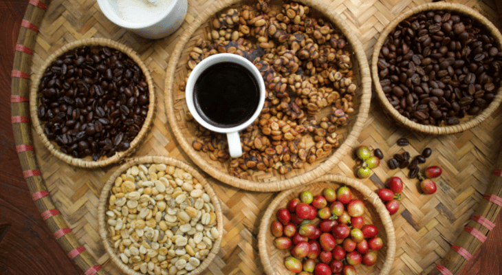 Kopi luwak