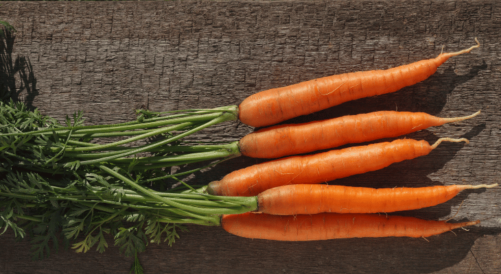 Carrot Crop
