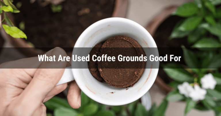 What are used coffee grounds good for